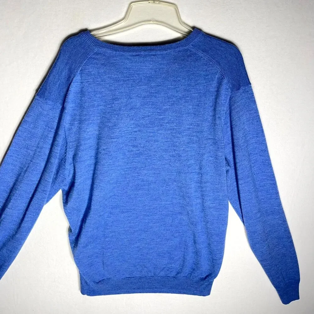 Joseph A Bank 100% Wool‎ Blue VneckSweater Men Size L